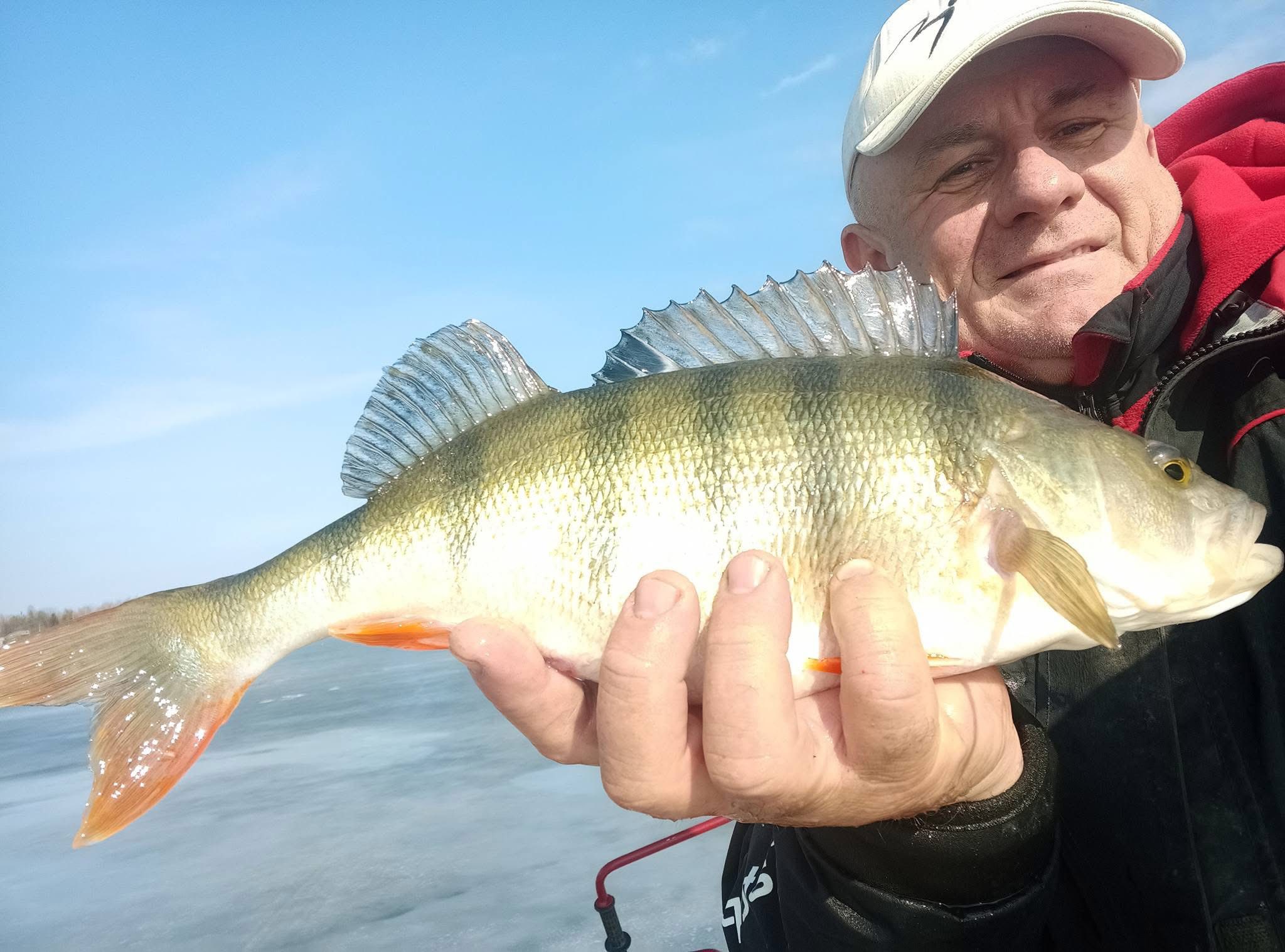 645614080 1401546282002389 8135627780135823059 n