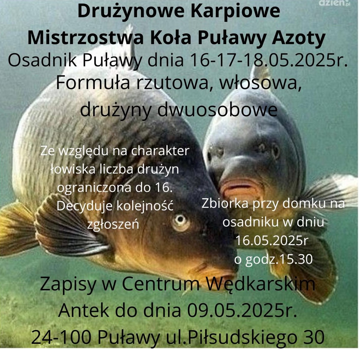 dkmk 2025